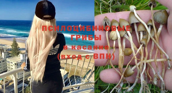 круглые Алзамай