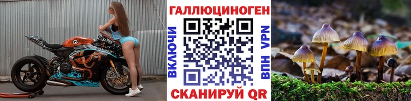 где купить наркотик  Миасс  Псилоцибиновые грибы Cubensis 